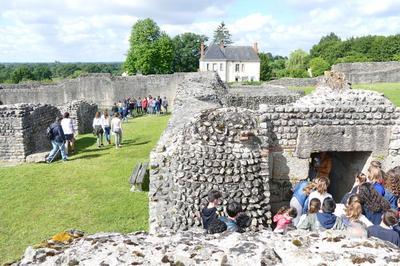 Visites guides de la forteresse  Jublains