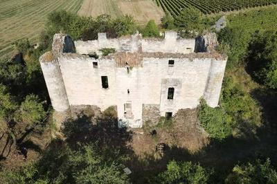 Visites guides de la maison forte de Montfaucon  Jaunay-Marigny