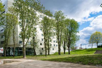 Visites guides Dcouvrez les nouvelles maisons de la Cit internationale  Paris 14me