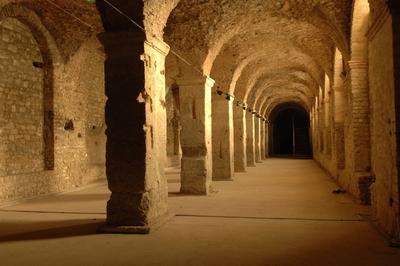 Visites guides des galeries gallo-romaines formant le cryptoportique  Reims