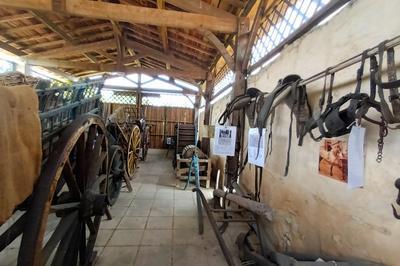 Visites guides du muse du marachage au hangar et au pigeonnier  Eysines