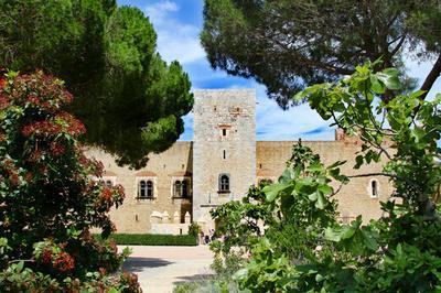 Visites guides du palais des rois de Majorque  Perpignan