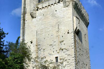 Visitez cette tour dfensive qui reliait autrefois le pont d'avignon au royaume de france  Villeneuve les Avignon