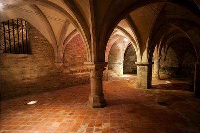 Visite des caves mdivales et de l'escalier renaissance   Neufchateau