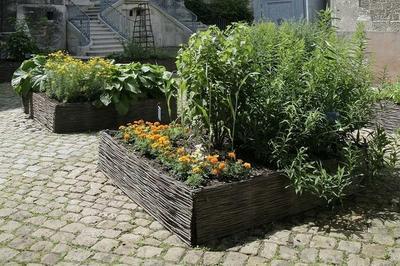 Visitez un jardin de teinturier  Troyes