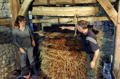 Visitez un pressoir unique en France  Viel saint Remy