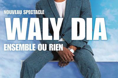 Waly Dia - report  Grenoble