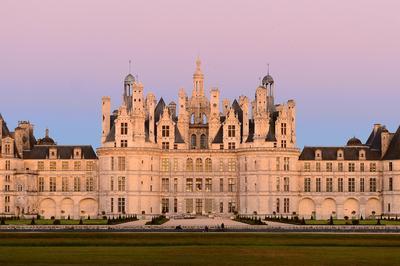 Wang Keping  Chambord