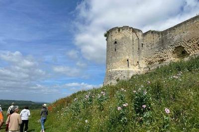 Waouh, quelle vue?  Coucy le Chateau Auffrique