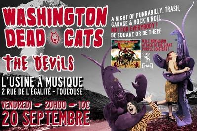 Washington Dead Cats et The Devils  Toulouse