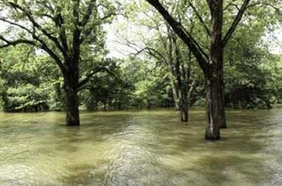 What Water Feels  Arles