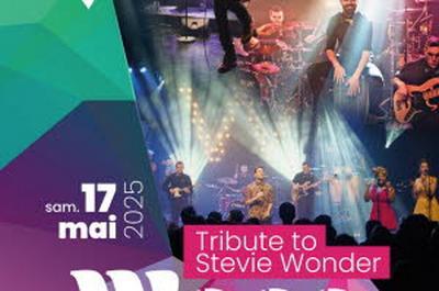 Woco Tribute to Stevie Wonder  Le Coteau