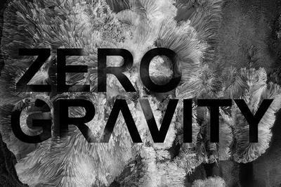 Zero Gravity  Lyon