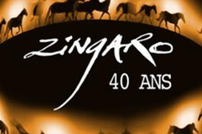 Zingaro 40 ans  Aubervilliers