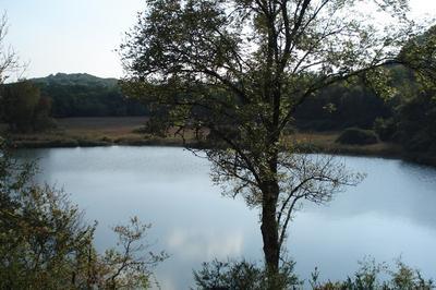 Zoom Sur La Tourbire Du Lac De Chailloux  Contrevoz