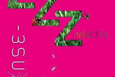 ZZZ'insectes  Castres