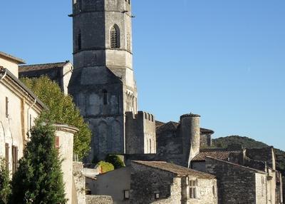 Castrum vivariensis - une histoire de cathédrale à Viviers