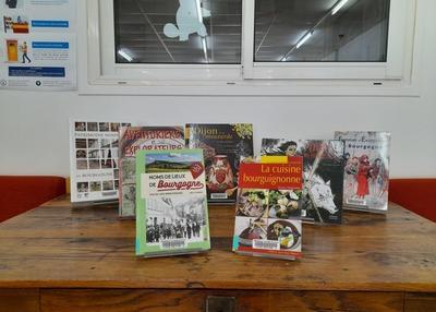 Découverte d'ouvrages sur le patrimoine local à Auxonne