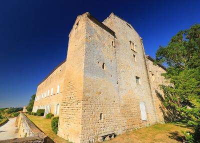 Découverte d'un château médiéval et de son histoire à Saint Felix Lauragais