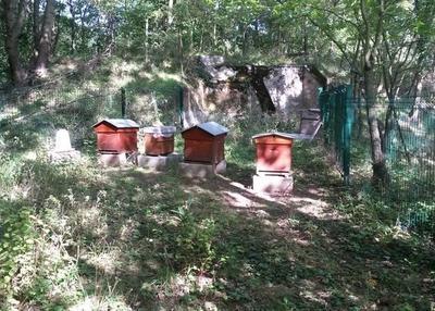 Visites des ruches du fort de sucy à Sucy en Brie