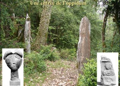 Découvrez un oppidum protohistorique et gallo romain à Montserie
