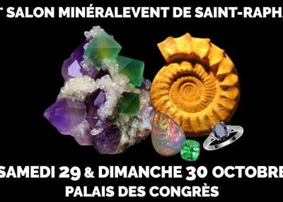 21ème Salon MinéralEvent Saint-Raphaël - Minéraux, fossiles, cristal & bien-être, gemmes et bijoux