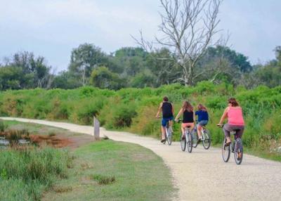 Entre nature et patrimoine : Circuit à vélo à Mantes la Jolie