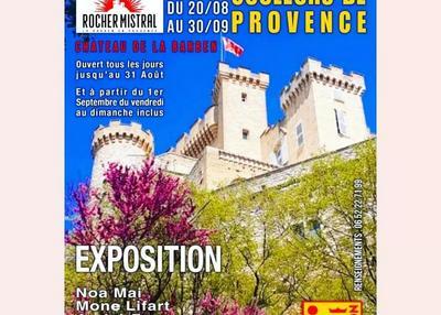 Exposition Château de La Barben à Aix en Provence