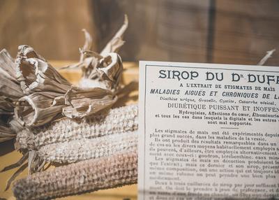 Exposition de fruits anciens avec les croqueurs de pommes à Saint Germain du Bois