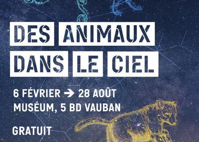 Exposition Des Animaux Dans Le Ciel à Auxerre