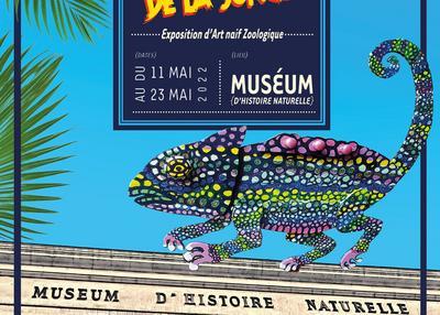 Exposition Les Meubles De La Jungle à Nantes