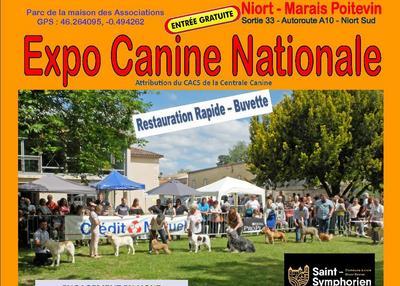 Exposition Canine Nationale à Saint Symphorien