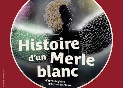 Histoire d'un merle blanc à Paris 18ème