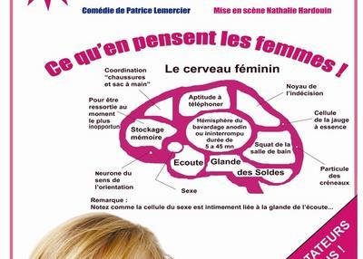 Homme Femme Mode D'Emploi : La Fille à Grenoble