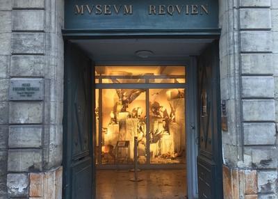 L'ecole Supérieure D'art D'avignon Au Muséum Requien à Avignon