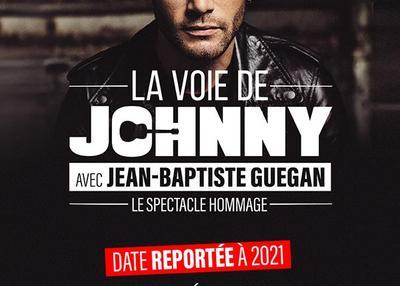 La voie de Johnny - Report à Lyon