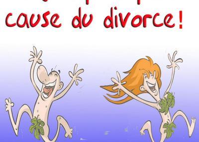 Le mariage est la principale cause du divorce à Montpellier