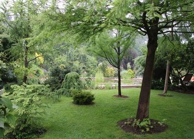 Le patrimoine végétal
visite libre ou guidée et commentée du parc botanique à Penin