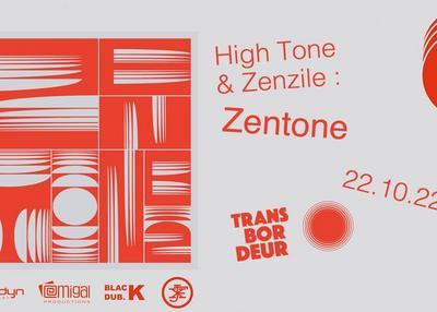 Live Echo ! High Tone & Zenzile : Zentone à Villeurbanne