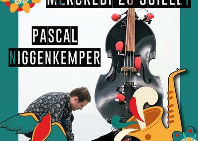 Pascal Niggenkemper - Millau Jazz Festival