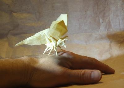 Performances D'origami à Varengeville sur Mer