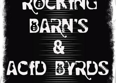 Rocking Barn's et Acid Byrds à Paris 20ème