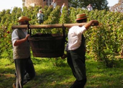 Visite commentée de l'histoire de la vigne des minimes de montmerle à Montmerle sur Saone