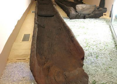 Visite D'un Musée D'archéologie Subaquatique à Sanguinet