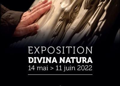 Visite De L'exposition Divina Natura à Carpentras