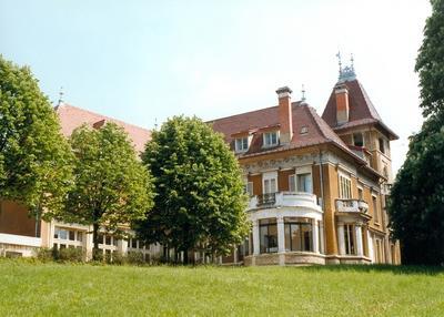 Visite De La Villa Berliet Art Nouveau à Lyon