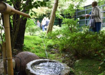 Visite du jardin japonais à Magny le Hongre