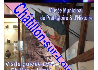 Visite Guidée du Musée Municipal de la Préhistoire à Chatillon sur Loire