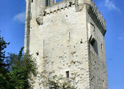 Visitez cette tour défensive qui reliait autrefois le pont d'avignon au royaume de france à Villeneuve les Avignon
