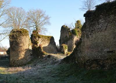 Visitez les ruines de ce château médiéval dominant la tardoire à Maisonnais sur Tardoire